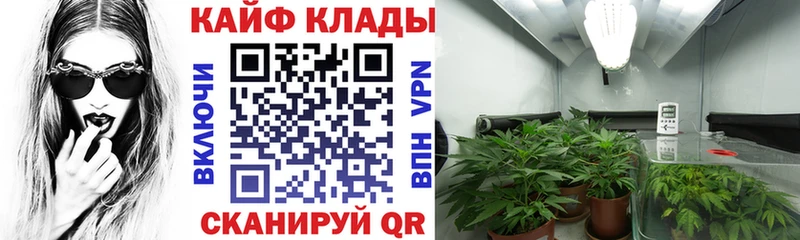  КОКАИН Александровское