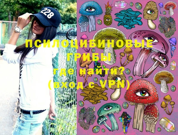 PSILOCYBIN Карталы