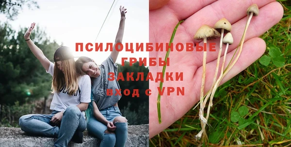 PSILOCYBIN Карталы
