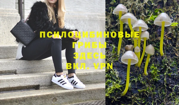 спайс Касимов
