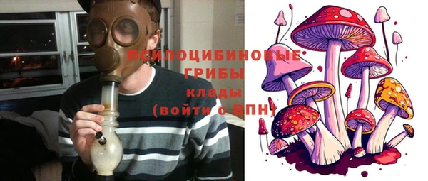 PSILOCYBIN Карталы