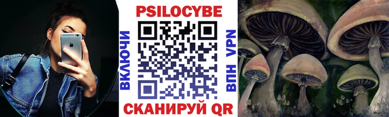 Галлюциногенные грибы ЛСД  Купить закладки  Александровское 